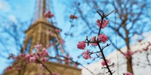 France VAT Guide