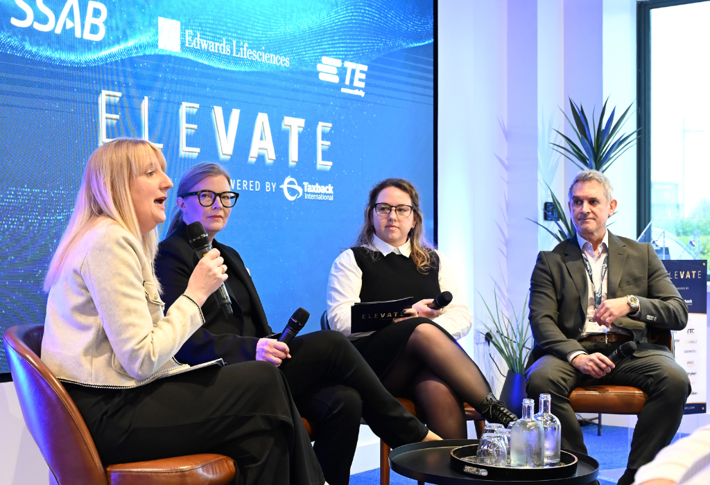 panel discussion on the challenges of ViDA