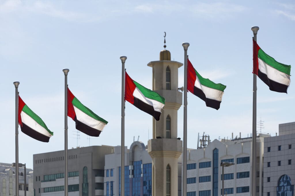 uae einvoicing requirements