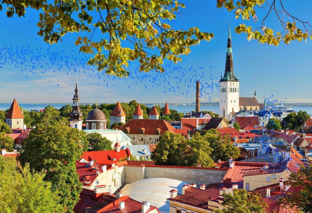 Estonia VAT Guide